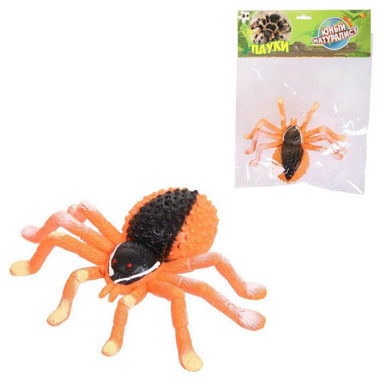 ABtoys (АБтойс) PT-01752 Фигурка Abtoys Юный натуралист Пауки Паук оранжево-черный, термопластичная резина