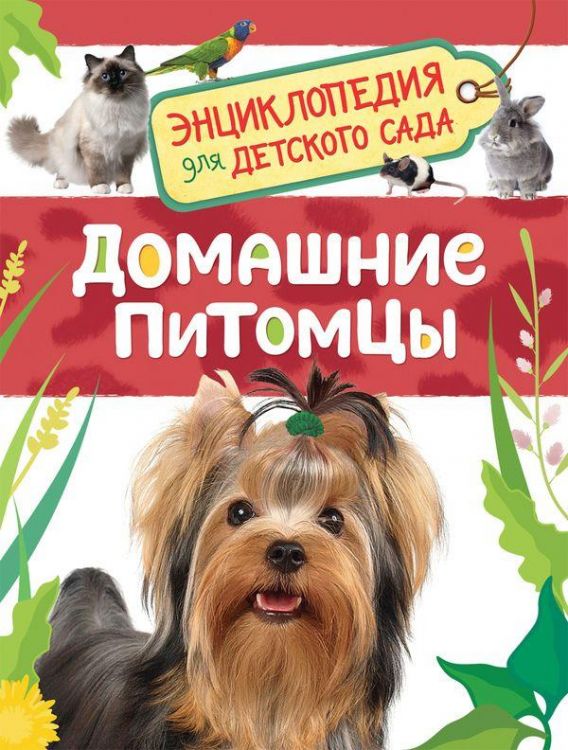 РОСМЭН 32823 Книга. Энциклопедия для детского сада. Домашние питомцы