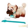 petclubparade-18547-59010--30041.jpg