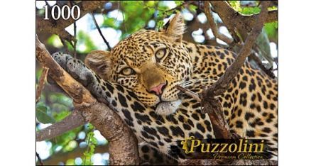 Puzzolini 7708 Пазл Леопард на ветках, 1000 элементов