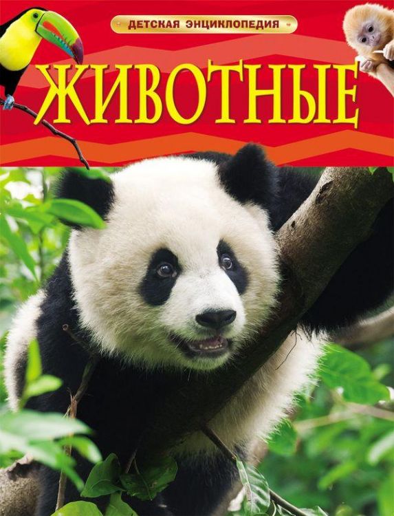 Энциклопедия детская.  Животные