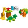 lego-duplo-10801.jpg