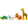 lego-duplo-10801-2.jpg
