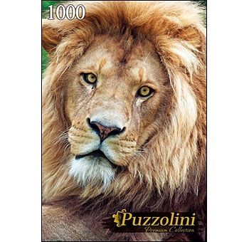 Puzzolini 7709 Пазл Большой лев, 1000 элементов