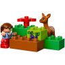 lego-duplo-10584-4.jpg