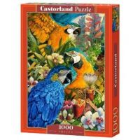 Castorland C-103485 Пазл Castorland Попугаи, 1000 деталей 