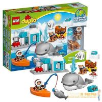 Lego Duplo 10803 Конструктор Лего Дупло Вокруг света: Арктика, 40 деталей