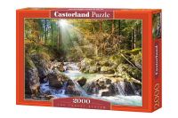 Castorland C2000-200382 Пазл Лесной ручей, 2000 деталей