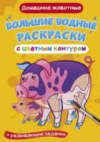 CRYSTAL BOOK 77413 Раскраска CRYSTAL BOOK Большая водная раскраска с цветным контуром. Домашние животные