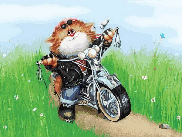 Раскраски по номерам на картоне. Котоциклист 30*40 см