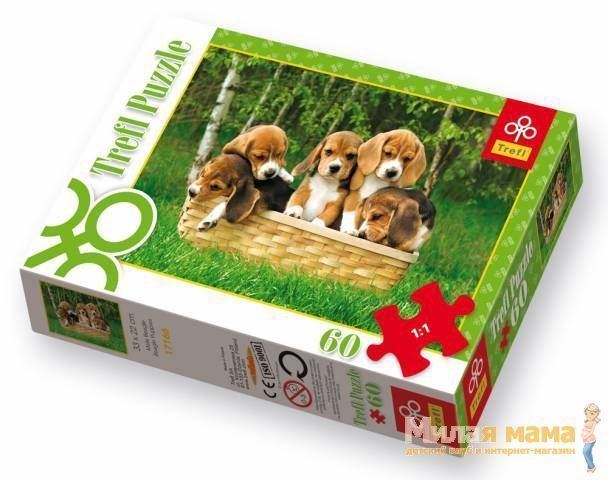 Trefl 17166 Пазл Маленькие бигли, щенки, 60 деталей