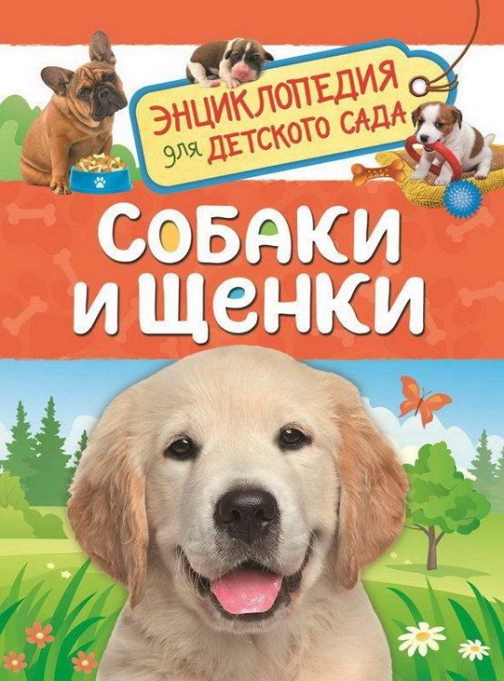 РОСМЭН 33888 Энциклопедия для детского сада Собаки и щенки