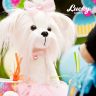 Orange Toys LD025 Lucky Doggy Мягкая игрушка Собачка Lucky Mimi: Розочка, 25 см