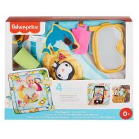 Mattel GRR44 Развивающий коврик Mattel Fisher-Price Бассейн
