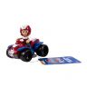 16605_Paw_Patrol_2.jpg