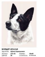 Белоснежка 376-AS Набор для творчества Белоснежка картина по номерам на холсте 30*40 см Бордер-колли