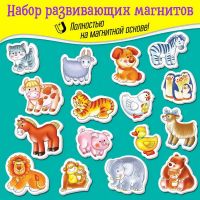 Дрофа-Медиа 4230 Игры на магнитах Дрофа-Медиа Большой набор животных
