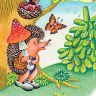 Книга В лесу родилась ёлочка