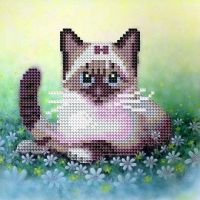 Рыжий Кот ASN012 Мозаика алмазная (блестящая) 20х20см МИЛЫЙ КОТЕНОК В ЦВЕТАХ, без подр.,на карт.,с част.запол., 15 цв.