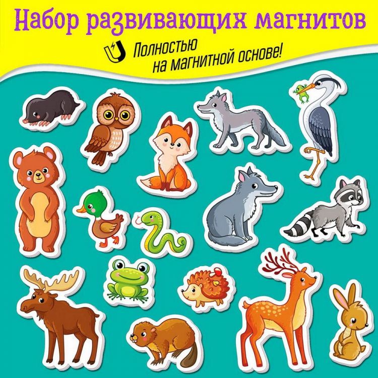 Дрофа-Медиа 4232 Игры на магнитах Дрофа-Медиа Лесные животные