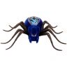 29007_Wild_Pets_spider.jpg