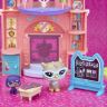 Hasbro C0041 LPS Игровой набор Чудесный школьный день