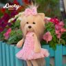 Orange Toys LD036 Lucky Doggy Мягкая игрушка Собачка Lucky Yoyo: Розовый микс, 25 см