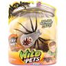29001_Wild_Pets_spider_grey_pack.jpg