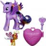 A8743_pony.jpg