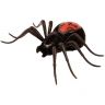 29001_Wild_Pets_spider_black.jpg 29001_Wild_Pets_spider_black.jpg