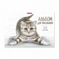 ErichKrause 49844 Альбом для рисования Tabby, А4, 40 листов