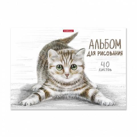 ErichKrause 49844 Альбом для рисования Tabby, А4, 40 листов