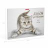 ErichKrause 49844 Альбом для рисования Tabby, А4, 40 листов