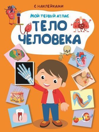 Омега 03734-1 Книга с наклейками. Мой первый атлас. Тело человека Омега 03734-1 Книга с наклейками. Мой первый атлас. Тело человека