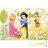 36503n-4-pazl-48-detaley-kolor---prekrasnie-printsessi-360.jpg
