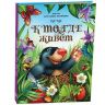 Malamalama 34025-6 Книжка-панорамка Энциклопедия POP UP для малышей "Тук-тук. Кто где живет"