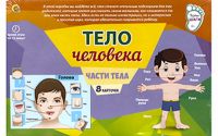 Рыжий кот ПД-6440 Игра настольная. ПЕРВЫЕ ШАГИ.ТЕЛО ЧЕЛОВЕКА