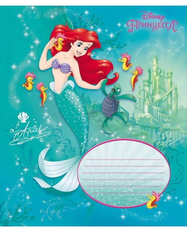 Hatber 12Т5блВ1 Тетрадь HATBER блёстки Принцессы (DISNEY), 12 листов, клетка