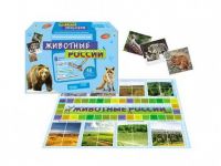 Рыжий Кот И-0028 Игра настольная обучающая  Учим малыша Животные России