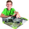 29002_4_Wild_Pets_spider.jpg