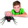29002_3_Wild_Pets_spider.jpg