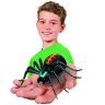 29002_1_Wild_Pets_spider.jpg