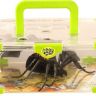 29002_2_Wild_Pets_spider.jpg