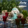 Orange Toys LD033 Lucky Doggy Мягкая игрушка Собачка Lucky Mimi: Грация, 25 см