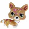 Hasbro 25920 LPS Пет с открыткой, Собачка корги