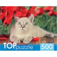Рыжий кот ГИТП500-4199 TOPpuzzle. Пазлы 500 элементов. ТАЙСКАЯ КОШКА