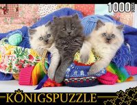 Konigspuzzle КБК1000-6467 Пазлы Три котенка, 1000 элементов
