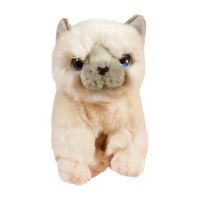 Keel toys Signature SC2645 Мягкая игрушка Котенок кремовый, 30 см