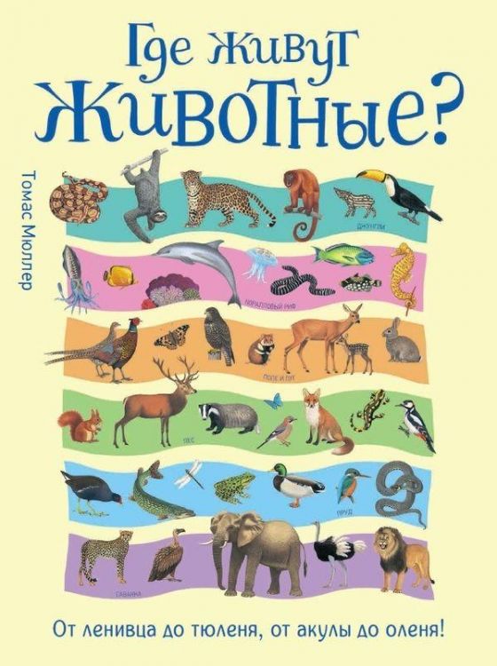 РОСМЭН 33491 Книга. Где живут животные? От ленивца до тюленя.