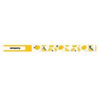 CENTRUM 90358 Ручка CENTRUM Soft touch Лимон шариковая, утолщенная